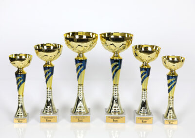 karikad cups