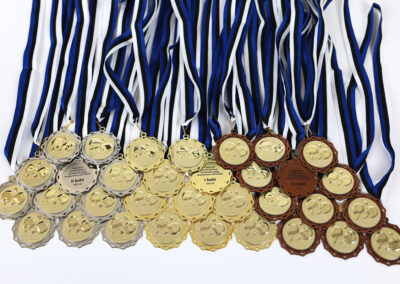 medalid medals