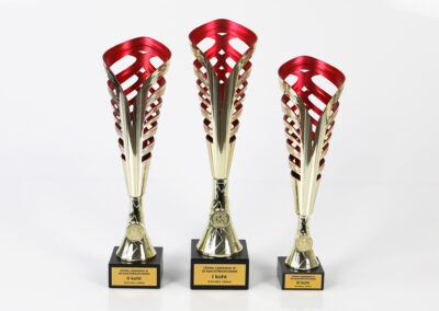 karikad cups