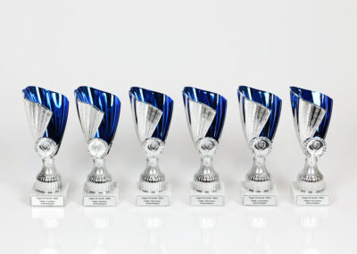 karikad cups