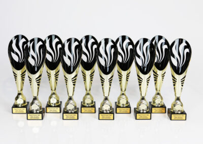 karikad cups