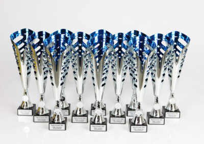 karikad cups