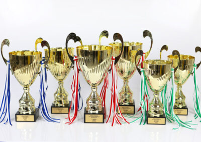 karikad cups