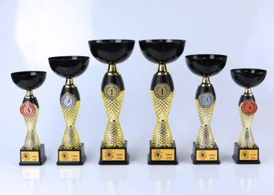 karikad cups auhinnad awards trophies