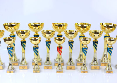 karikad cups auhinnad awards trophies