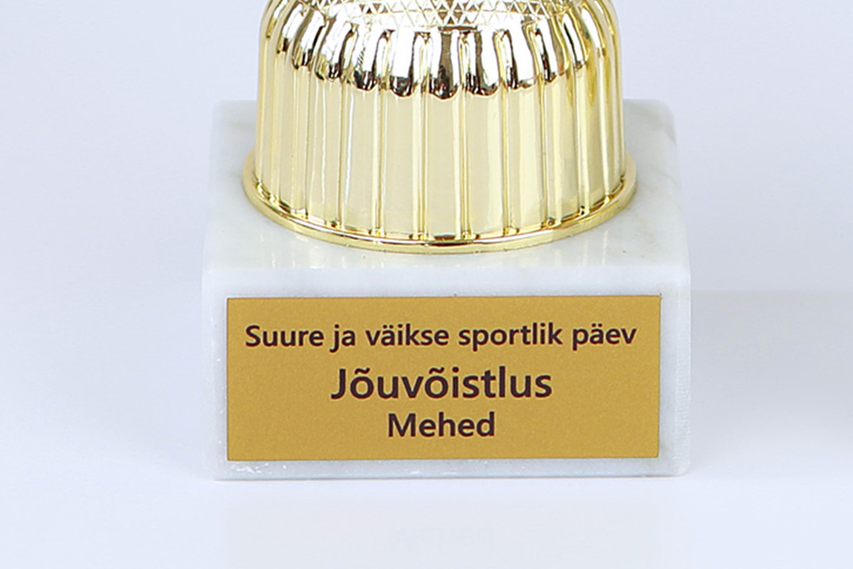 karikad medalid klaasmeened auhinnad